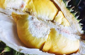 17 Manfaat Buah Durian, Bisa Mencegah Penuaan dan Menjaga Kesehatan Tulang, Luar Biasa!