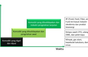 Tapak Baru Era Kejayaan Kaltim Untuk IKN