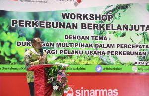 Pemkab Kutim Serius Dalam Mewujudkan Pembangunan Perkebunan Berkelanjutan