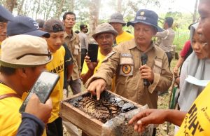Pertamina EP Sangatta Field Jadikan Program Kebun Kelulut Sangatta Sebagai Pusat Pelatihan Budidaya Lebah