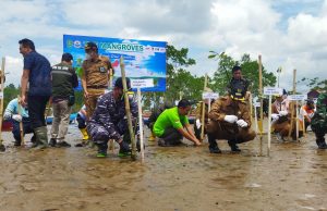 Lanal Sangatta Tanam 7700 Mangrove – Memperingati Hari Mangrove se Dunia Tahun 2022