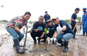 Fopsir Kutim Gandeng KPC Tanam Mangrove di Pantai Kenyamukan