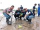 Fopsir Kutim Gandeng KPC Tanam Mangrove di Pantai Kenyamukan