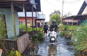 Warga Longkong HSU Kebanjiran, Pembakal Ijay : Hanya 20℅ Masyarakat yang Bisa Tanam Padi