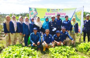Kutim Siapkan Lahan 600 Hektare untuk Food Estate
