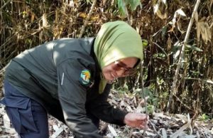 Peduli Lingkungan, Wakajati Kaltim dan Duta Pelajar Sadar Hukum Tanam Pohon di Kebun Raya Balikpapan