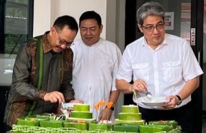 IKN, Menteri Rasa Gubernur