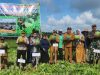 Ketua DPRD Minta Pemkab Galakkan Buah Semangka di Seluruh Kutim