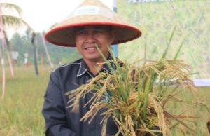 Cegah Lahan Pertanian Jadi Perkebunan, Joni Tegaskan Petani Harus Dibina