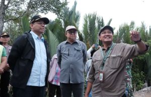 Kaltim Miliki Mangrove Terbesar Ketiga di Indonesia, Wamenkeu dan Kepala BRGM Tinjau ke Lapangan