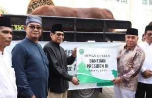 Menanti Sapi Jokowi di IKN