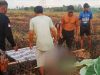 Astaga! Tawia HSS Berdarah di Hari Kemerdekaan, Bani Tewas  Kena Timpas di Kebun Lombok
