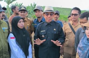 Pisang Gepok Grecek dan Nanas Madu Diajukan Dapat HaKI
