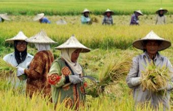 Dampak El-Nino, Krisis Pangan Jadi Perhatian Ketua DPRD Kaltim