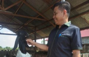 Joni Minta Pemkab Lakukan Pengawasan Hewan Qurban