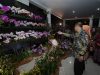 72 Pengusaha Anggrek Nasional Ikuti Batu Shining Orchid Week di Batu