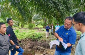 Terungkap, PT BMA Tanam di Luar HGU, Tapi Dilakukan Kepengurusan Manajemen Lama