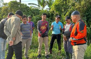 Dedikasi untuk Pertanian: Kisah Sukses Bupati Edi Mengubah Wajah Pertanian Kukar