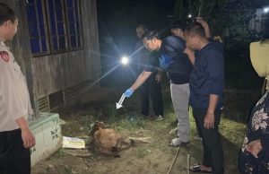 Dicegah Jual Kambing Malam Hari, Anak Nekad Bunuh Ayah Kandung Sendiri di Awang HST