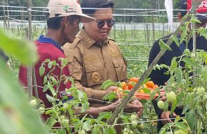 Genjot Sektor Pertanian Kukar Sebagai Lumbung Pangan IKN, Edi – Rendi Gelontorkan 700 M