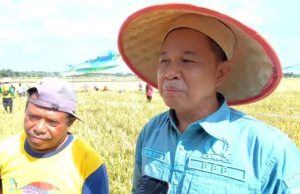 Joni Apresiasi Poktan Imbut Aren Jadi Penangkar Benih Padi Sawah