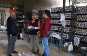 Jamur Tiram Diharapkan jadi Produk Unggulan Kecamatan Tenggarong Seberang