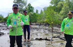 Ketua DPRD Ikut Penyulaman Tanaman Mangrove di Pantai Teluk Lingga
