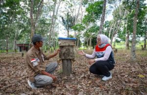 Pertamina EP Sangatta Berdayakan Petani Madu Kelulut dan Pariwisata Edukatif di TNK