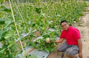 Guntur : Warga Muara Kaman, Kukar Keluhkan Bantuan Alsintan