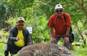 Legenda Orah dan Komodo