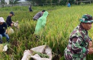 Pemdes Loa Duri Ulu Terus Dorong Program Pertanian