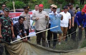 Poktan Tri Rukun Kelurahan Maluhu Panen Jagung dan Ikan