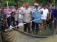 Poktan Tri Rukun Kelurahan Maluhu Panen Jagung dan Ikan