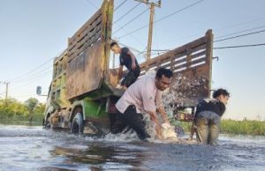 PT Agro Bumi Kaltim Kembali Lakukan Perbaikan Jalan Penghubung Kenohan – Kota bangun