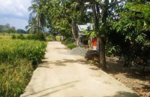 Jalan Tembus TMMD 124 di PHL Dukung Pertanian, Kades Arin : Ada 500 Hektare Sawah yang Potensial di Lok Nyiur