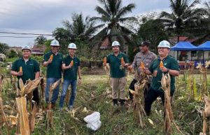 Panen Jagung Perdana untuk Wujudkan Komitmen Ketahanan Pangan Nasional, Kapolsek Sangkulirang Apresiasi PT SKP dan PT CNL