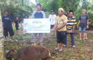 Perkuat Kepedulian Sosial, PT PHI Zona 9 Subholding Upstream Salurkan 40 Hewan Kurban di Moment Idul Adha 1446 H