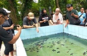 Gelar Media Gathering, PT Pamapersada Bersinergi dan Ikut Lestarikan Ekosistem Penyu di Pulau Sangalaki