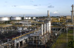 PHSS Sampaikan Pentingnya Perlindungan Obvitnas demi Ketahanan Energi