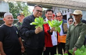 Petani Sayur di Maluhu Perlu Bantuan Pengairan dan Pengendali Hama
