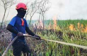 Karhutla Kian Menggejala di HSS, Kusairi : Benar, Beberapa Kecamatan Sudah Ada Titik Api