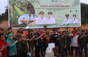 Bupati Aulia Tanam Jagung Pipil di Desa Batuah