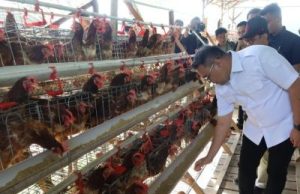 Raih Juara 3 Nasional Lomba Desa Tematik, Loa Duri Dikunjungi Bupati