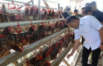 Raih Juara 3 Nasional Lomba Desa Tematik, Loa Duri Dikunjungi Bupati