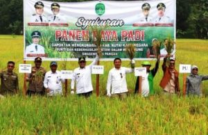 Bupati : Panen Padi di Mangkurawang, Makin Teguhkan Kukar sebagai Lumbung Pangan di Kaltim