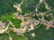 “Palu Godam” Prabowo di Hutan Kaltim