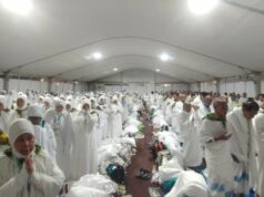349 Jamaah BDJ-14 Sudah di Arafah, Muzakkir : Alhamdulillah, Semuanya Terkondisikan Baik, Siap Wukuf
