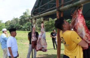 Idul Adha 1447 H, Polres HST Potong 6 Ekor Sapi Kurban, Kapolres : Ini Wujud Kepedulian Polri ke Masyarakat