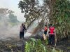 5 Hektar Hutan dan Lahan di Kutim Terbakar, Warga Polisi dan BPBD Berjibaku Memadamkan
