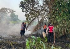5 Hektar Hutan dan Lahan di Kutim Terbakar, Warga Polisi dan BPBD Berjibaku Memadamkan